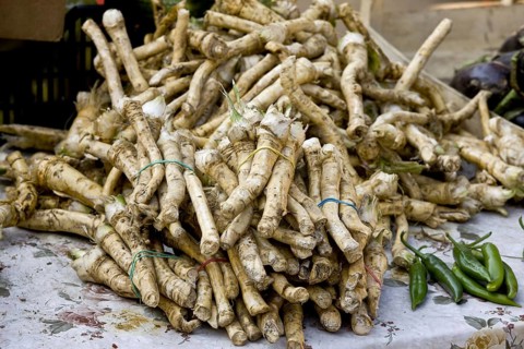 Horseradish