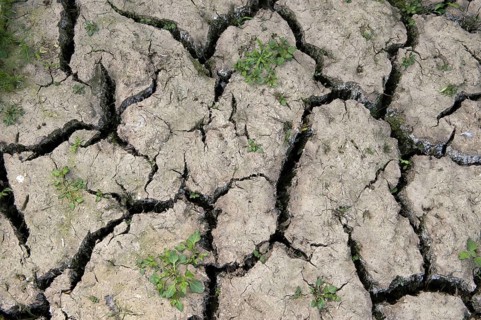 Parched soil with cracks during drought conditions
