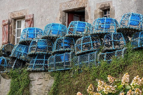 Blue lobster traps