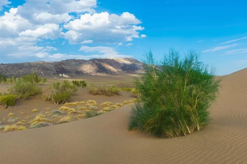 Singing Dunes
