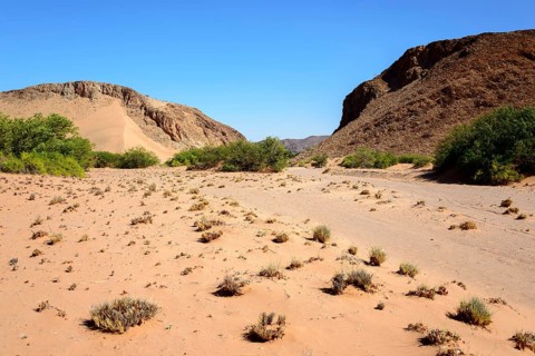Landscape at the Huab River