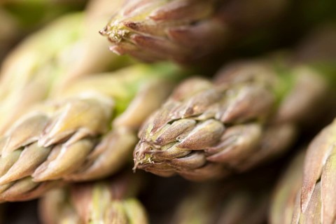 Green asparagus