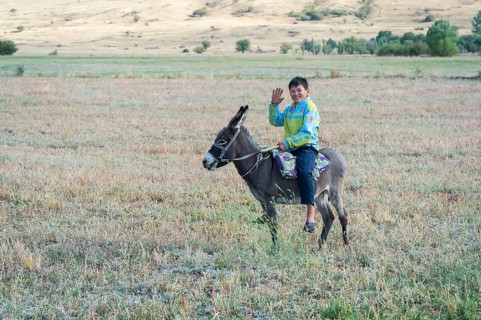 Traditional Kokpar or Buzkashi in the outskirts of Gabagly National Park