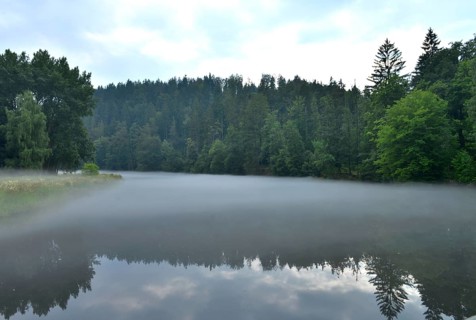Nebel