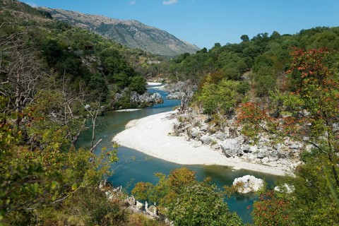 River Drino near Uji i Ftothe