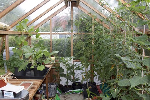 Greenhouses