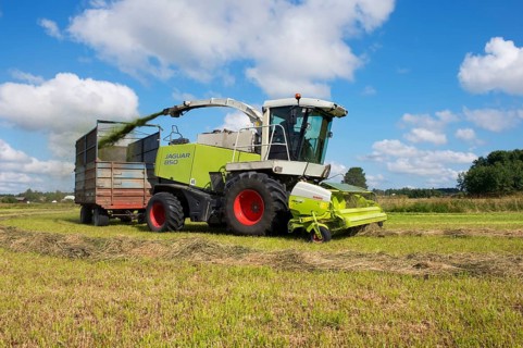 Silage harvesting