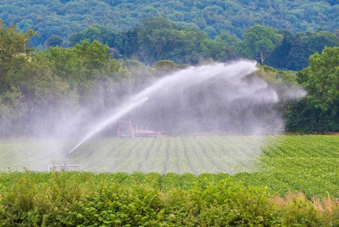 Crop irrigation