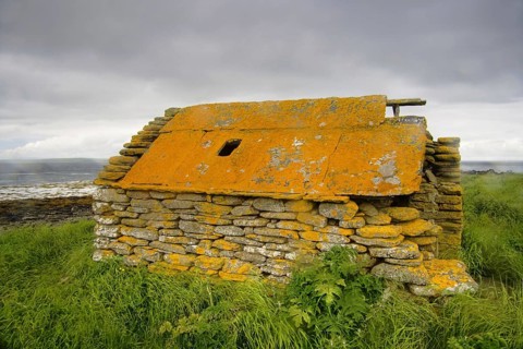 Abandoned farm building overgrown with lichen