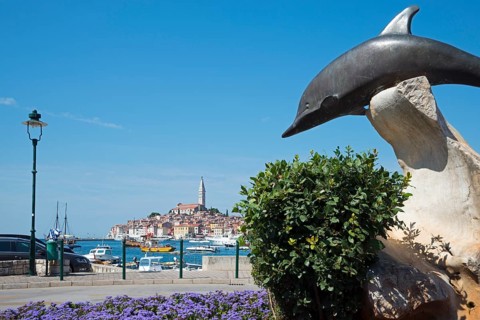 Dolphin sculpture and old town