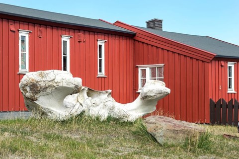 Colourfully painted wooden houses with whale bones in the foreground