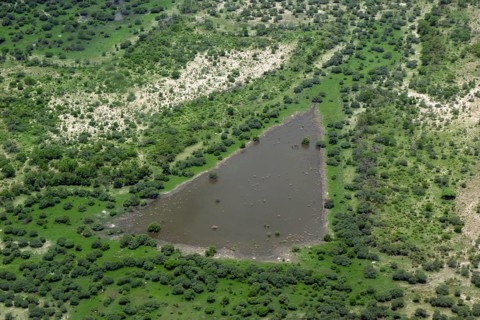 Aerial view of a pool in a wetland habitat