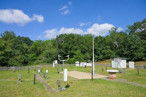 Measuring meadow