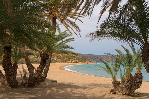 Palm beach of Vai with Cretan