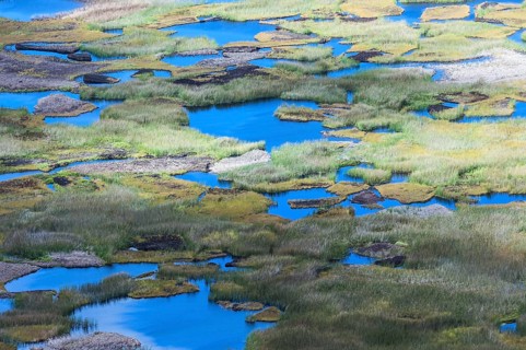 Rano Kau Volcanic Crater and Wetland