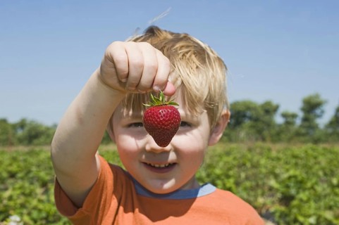 Strawberry