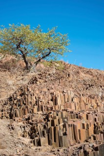 Organ pipes
