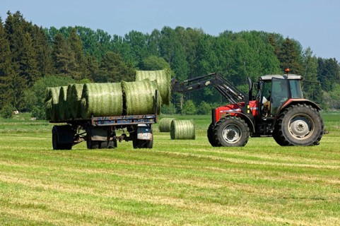 Silage round bales loaded on trailer with Massey Ferguson 6290 tractor with front loader