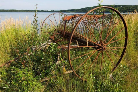 Rusty old-fashioned horse-drawn hay rake