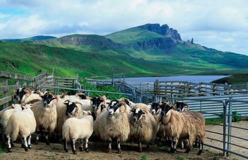 Scotland