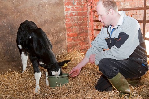 Dairy farming