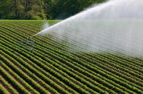 Crop irrigation