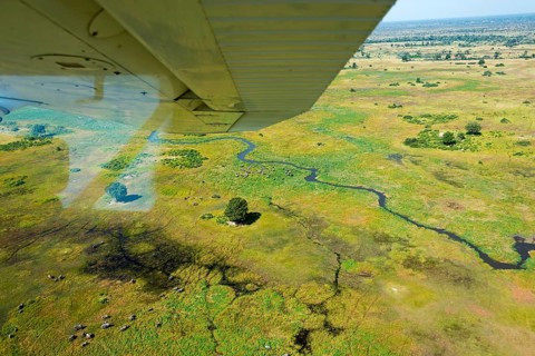 Okavango Delta
