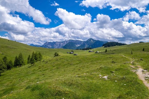 Postalm in the Salzkammergut