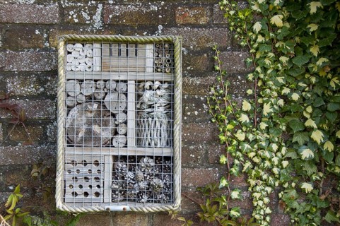 Invertebrate refuge attached to brick wall