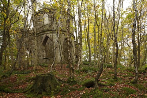 Stone-built folly in woodland habitat