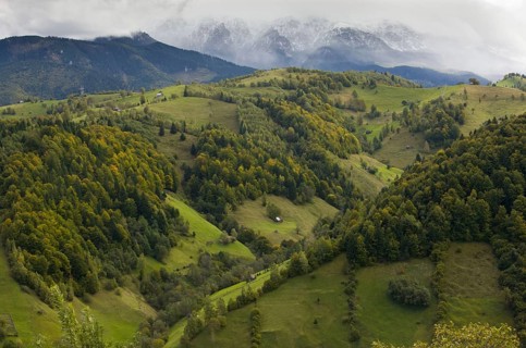 View of mixed forest and pastures on mountain slopes