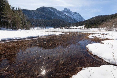Winter landscape