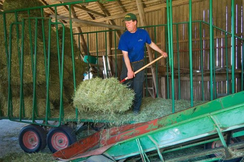 Farmer unloading small bales from wagon onto a lift in the barn