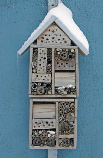 Snow-covered insect hotel built to attract solitary bees