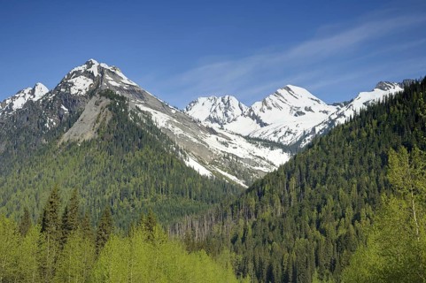 View of forest on slopes of snow-capped mountains
