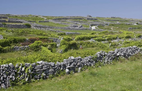 Small fields with limestone dry stone walls