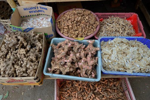 Different kinds of ginger