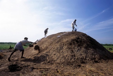 Preparation process for making charcoal from fire wood near Ramanathapuram