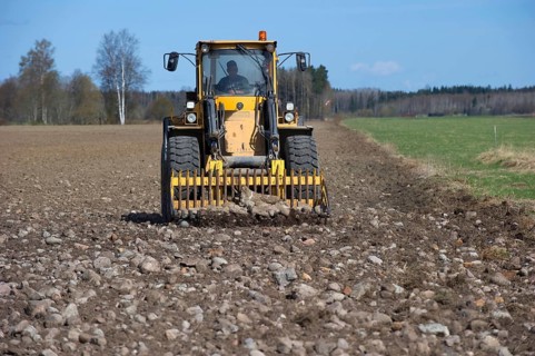 Tractor with front loader forks removing stones from cultivated farmland