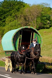 Horse-drawn gypsy caravan on its way to Appleby Horse Fair near Ravenstonedale