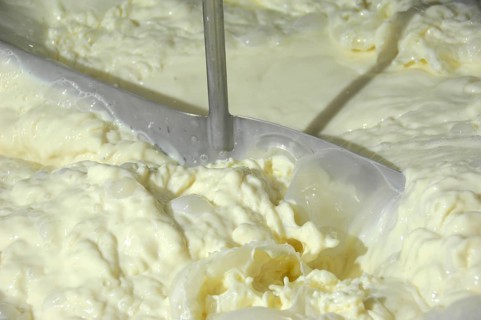 Dairy farming