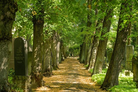 Old graves