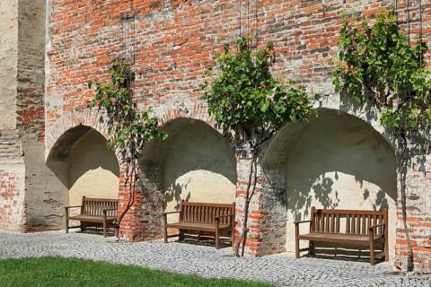 Bench