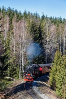 Steam train of the Brockenbahn railway steam railway near Drei Annen Hohne