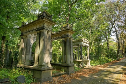 Old graves