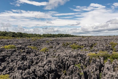 Tsingy de Ankarana National Park