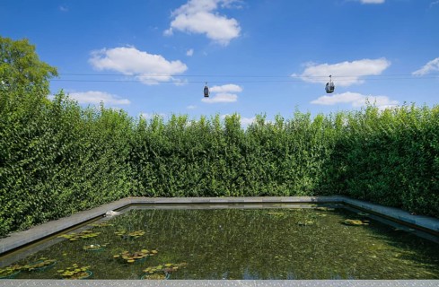 Water Garden Pond