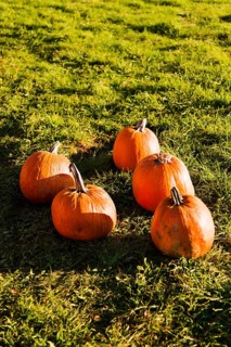 Pumpkins