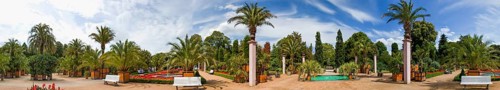 Bad Pyrmont Panorama Palm Garden