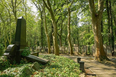 Old graves